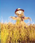 Scarecrow